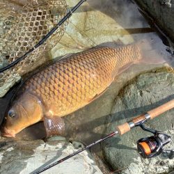 70㎝は釣れたけど 天竜川ルアーフライ専用区